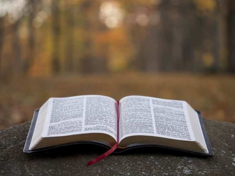 top-15-best-accredited-bible-colleges-in-nigeria-guidecrest