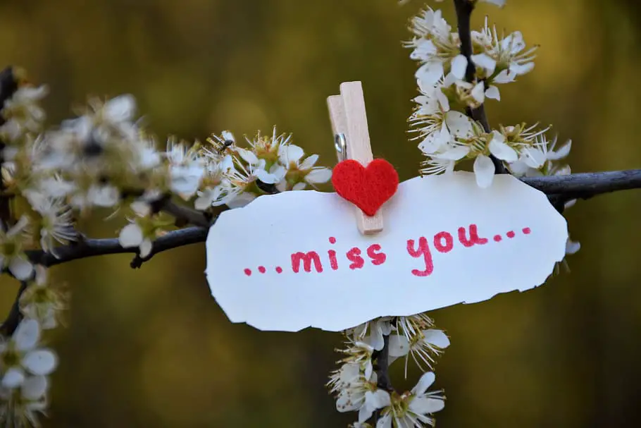 I Miss You Message For My Love
